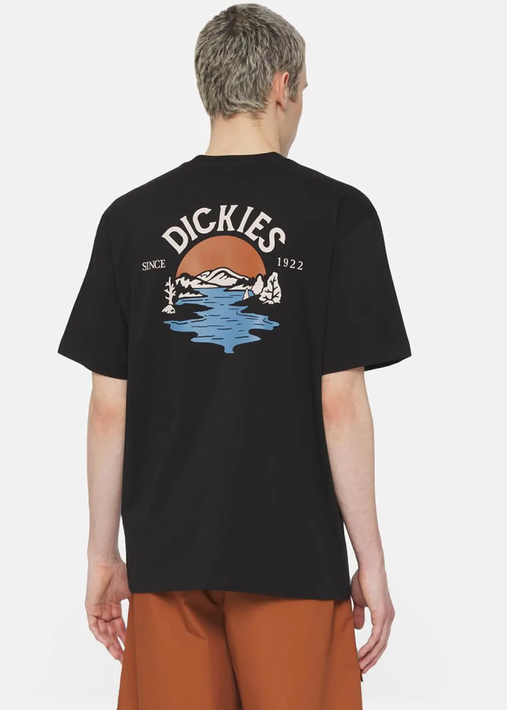 Dickies Herren Beach T-Shirt Schwarz